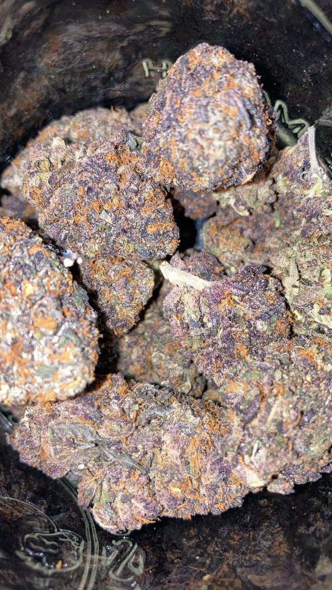 CDDP's tweet image. XIII. 🍬