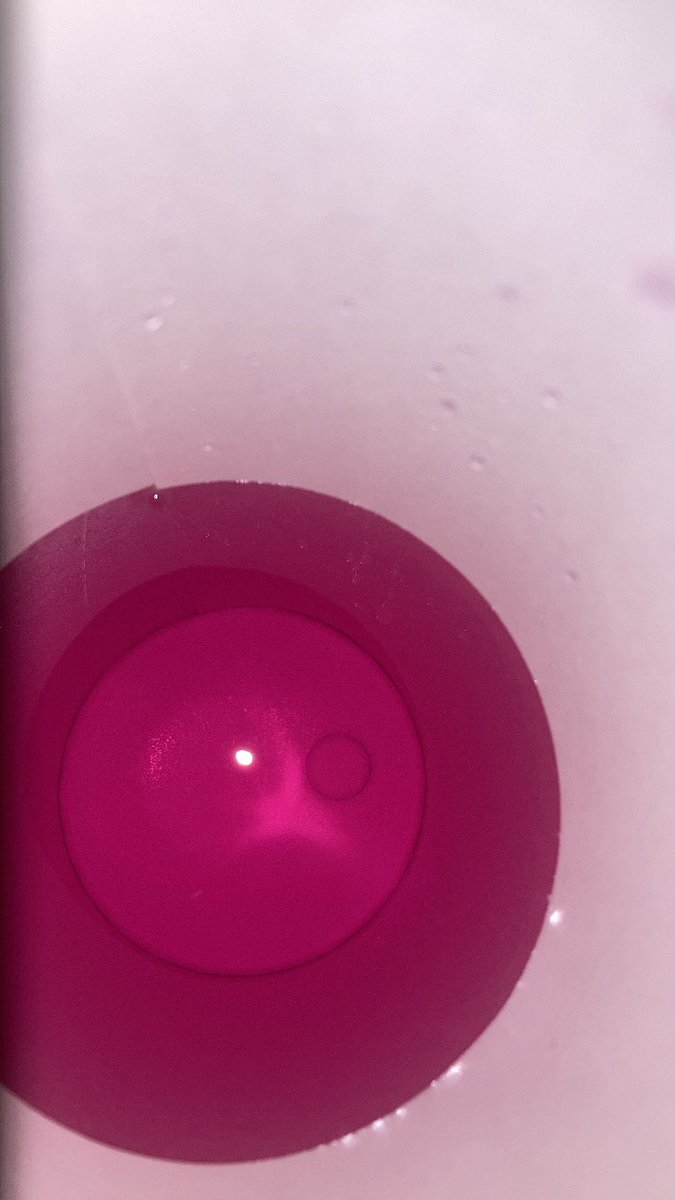 CDDP's tweet image. XIII. 🍬