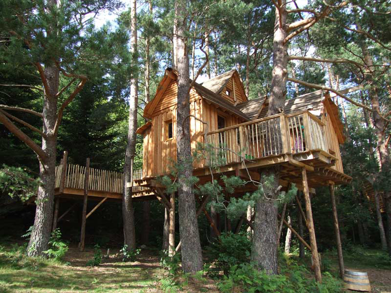 Les cabanes tweet media