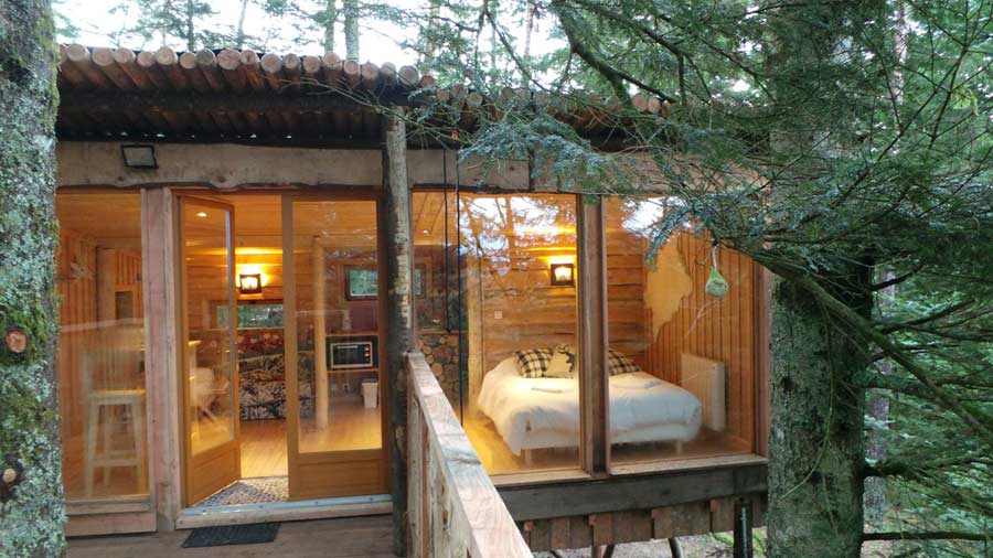 Les cabanes tweet media