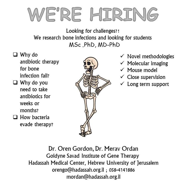 Oren Gordon tweet media