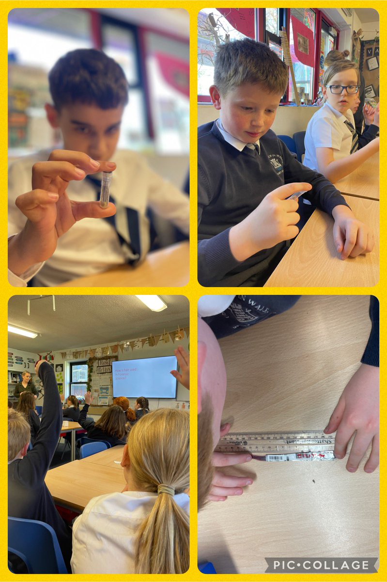 Hazel have had a fascinating morning listening to Abbie from @cansford_labs. She carefully explained the processes for hair testing and what we can test for. Mind-blowing!