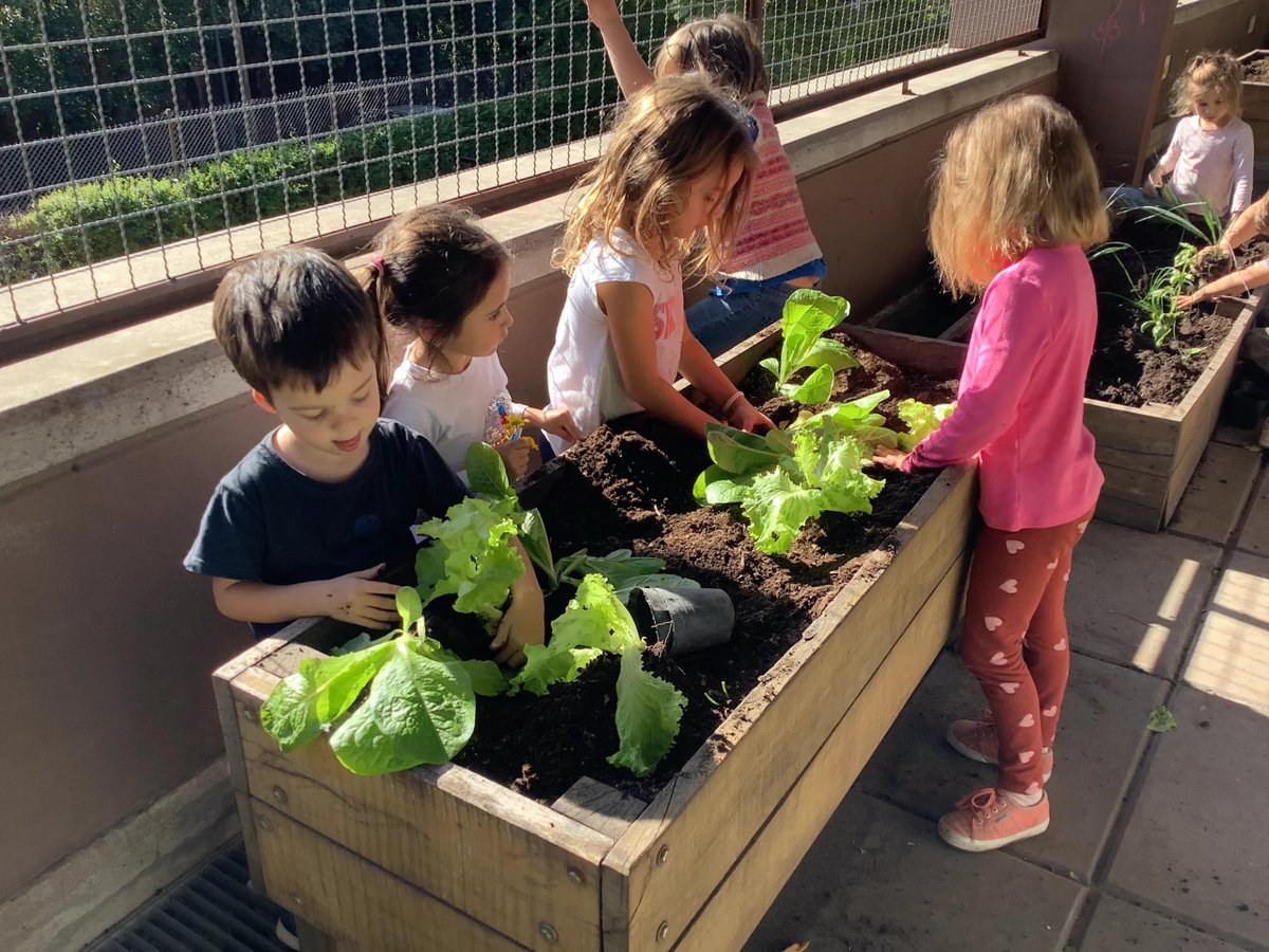 VonFonay's tweet photo. El Futuro es por acá. Desde niños. #HuertaUrbana . con @SouthOrganics https://t.co/fMywlHSzcf