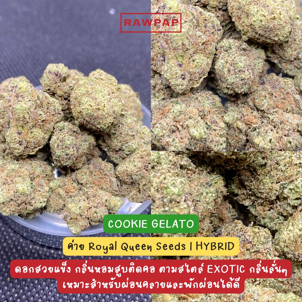 weed420tpp's tweet photo. สนใจสอบถามได้ครับลูกพี่ ราคาเบาๆ
📍ต้นทาง อุดมสุข27
IG : rawpap_th
FB : Rawpap
Line@ : https://t.co/xo7jupTihP 
#กัญชา #กัญชากทม #กัญชากรุงเทพ #กัญชาราคาถูก #กัญชาราคาส่ง #weed #อุดมสุข #บางนา #รังสิต #อ่อนนุช #ศรีนครินทร์ #เมกะ #ราม2 #พัฒนาการ #สุขุมวิท #กัญชานอก #สำโรง #ศรีอุดม https://t.co/lMaD6UhFC9