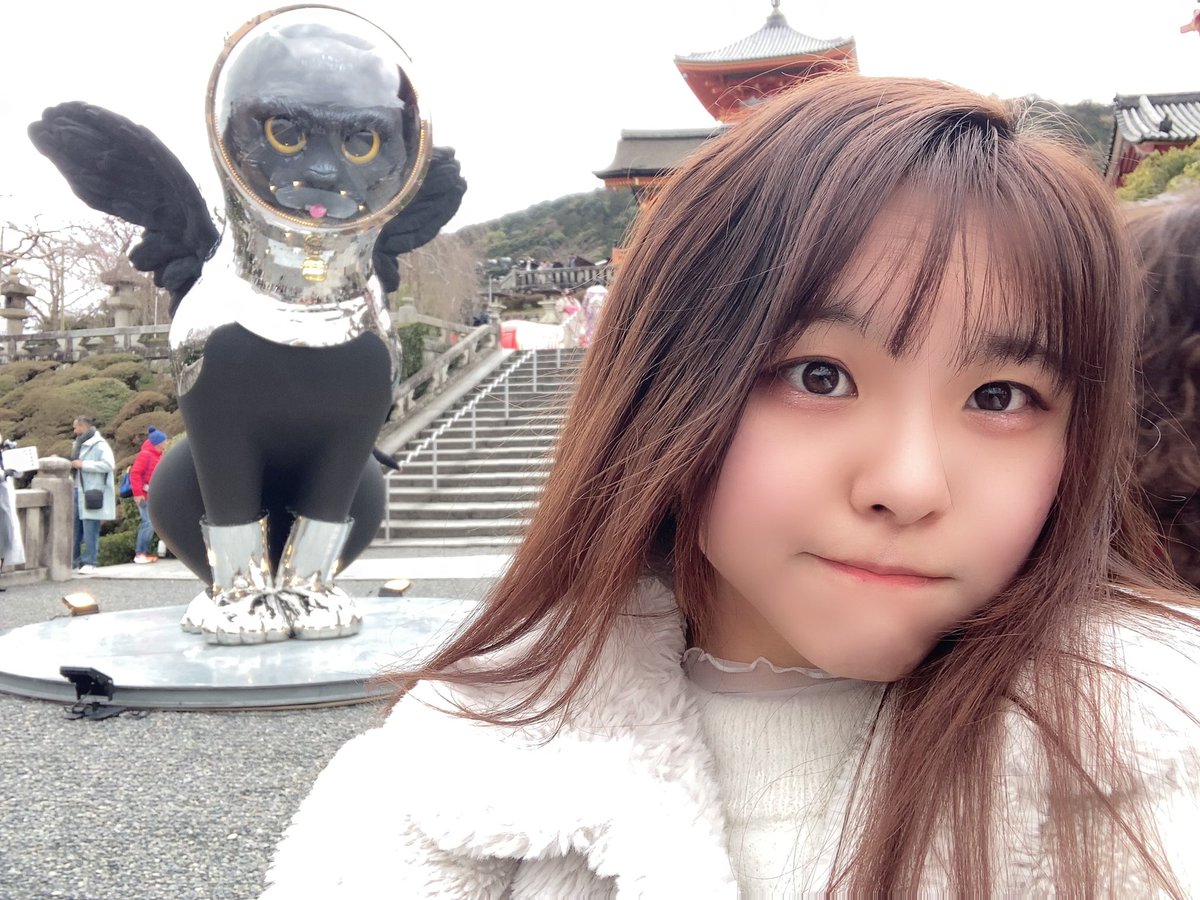 じゃーん 今日は清水寺にいるこけしと猫見に行きました🐱 3月10日まで展示されてるみたいです！！！ なんとこのこけししゃべるんです、、 #清水寺 #京都 #京都アイドル