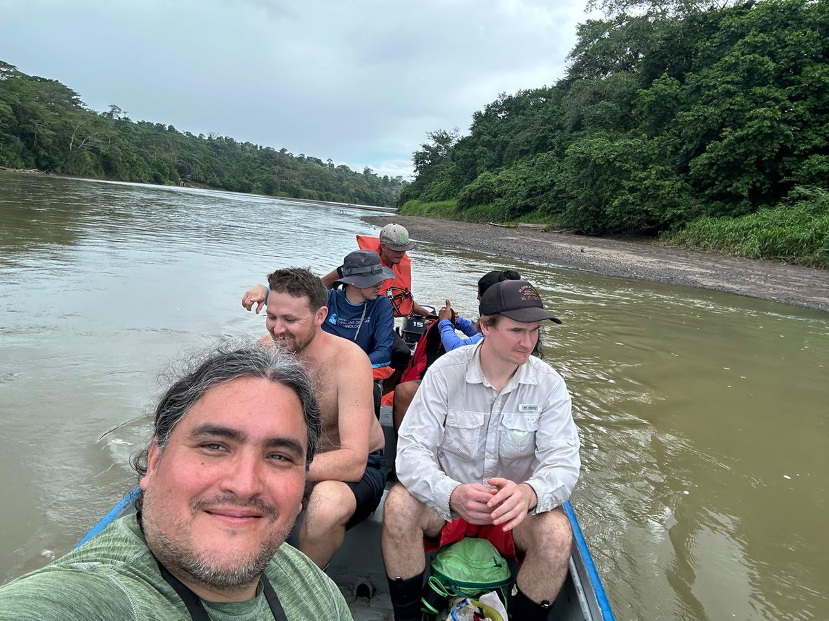 mud_Iark's tweet image. collecting enigmatic freshwater mussels in Costa Rica! #Uniocorns 🦄 🦪 #ShellYeah