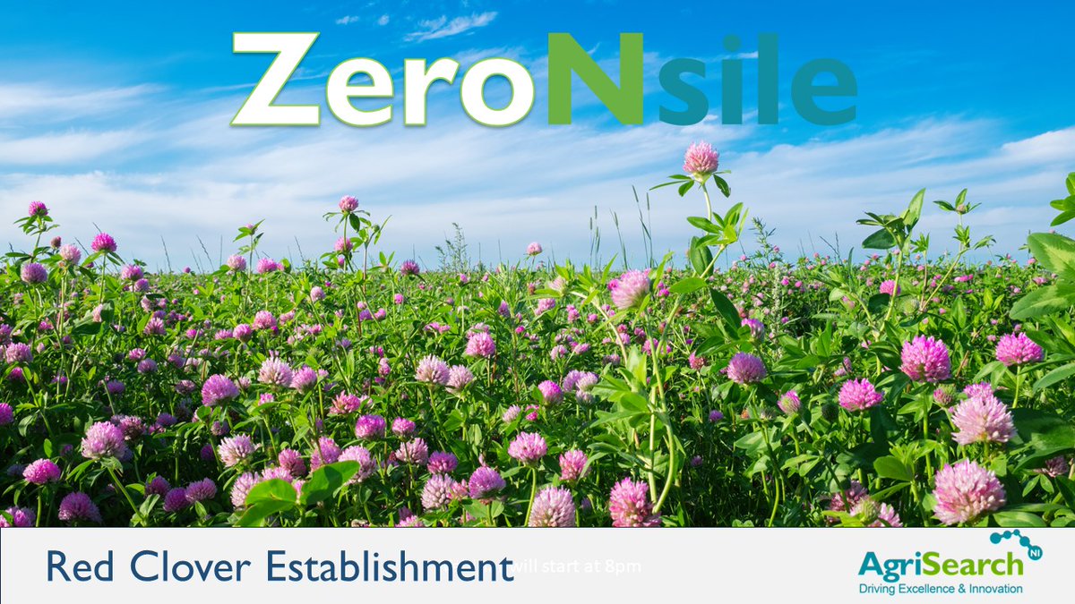 AGRISEARCH’S RED CLOVER ESTABLISHMENT WEBINAR NOW AVAILABLE ONLINE🌱 To watch the full recording of the webinar, click the link below👇 ow.ly/YOo350QMip8