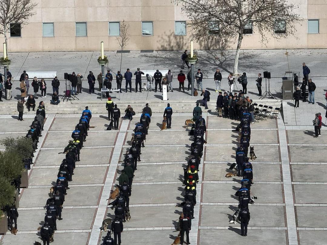 🐶El nostre guia caní ha participat com a Instructor a les"Jornadas caninas internacionales" organitzades per la policia local de Alcobendas. 
Hi han participat més de 120 unitats canines de tot el món, provinents de Brasil, Suïssa i Bèlgica, entre d'altres.
.
#PMGirona
#guiacaní