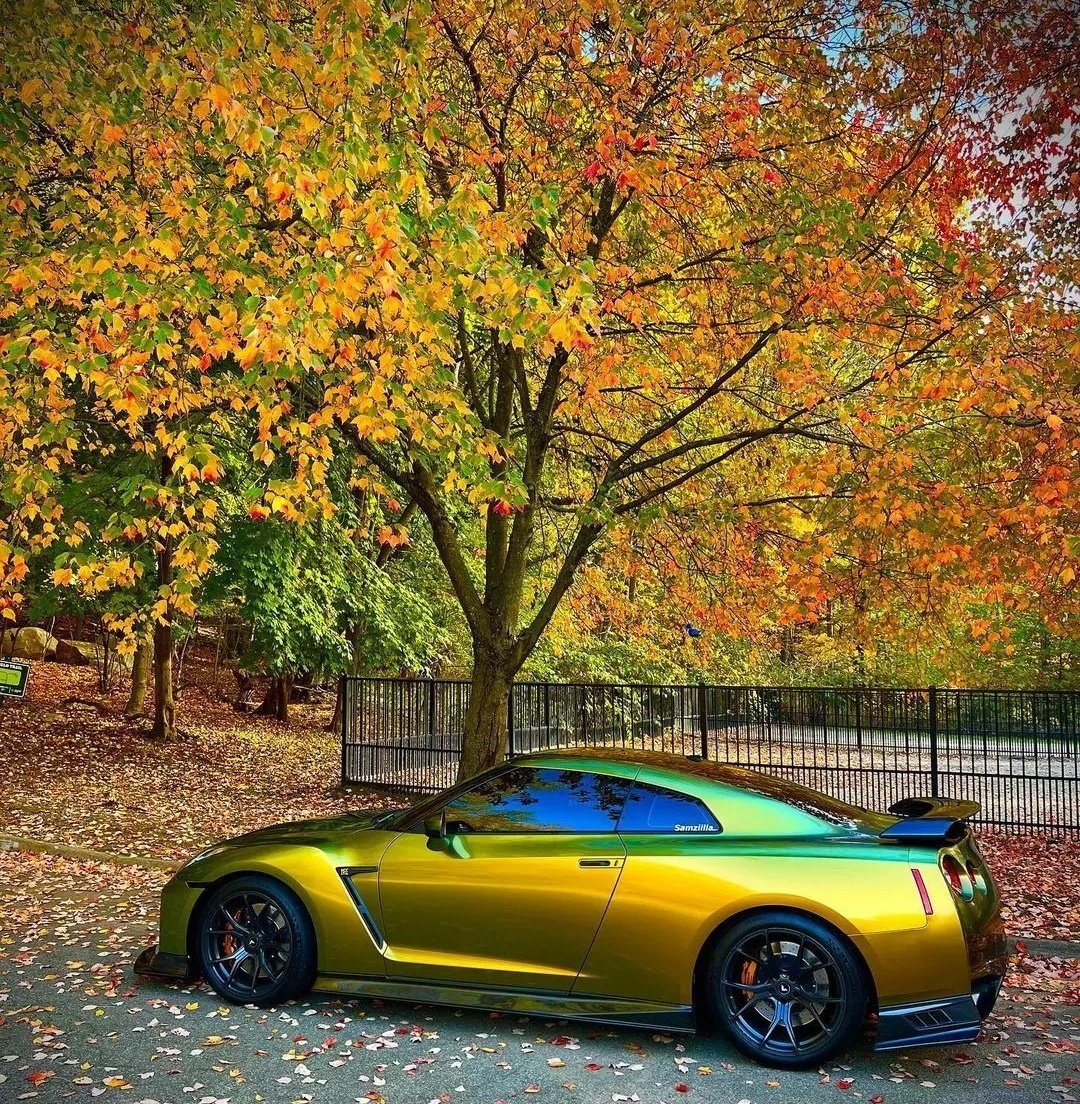 Gorgeous Nissan GTR-R35