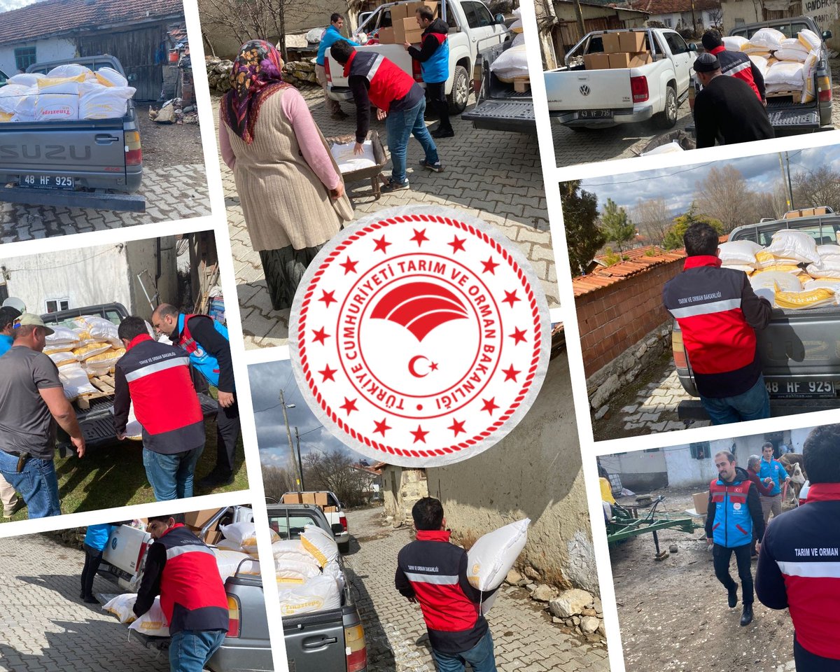 Dumlupınar İlçe Müdürlüğümüz, Kaymakamlığımız ve İl Özel İdaresi iş birliğiyle gerçekleştirilen proje meyvelerini verdi. İl Özel İdaresi bütçesinden karşılanarak, TİGEM’ den alınan Tosunbey ekmeklik buğday tohumu; İlçe Müdürlüğümüze ait arazide ekilerek hasadı yapıldı.