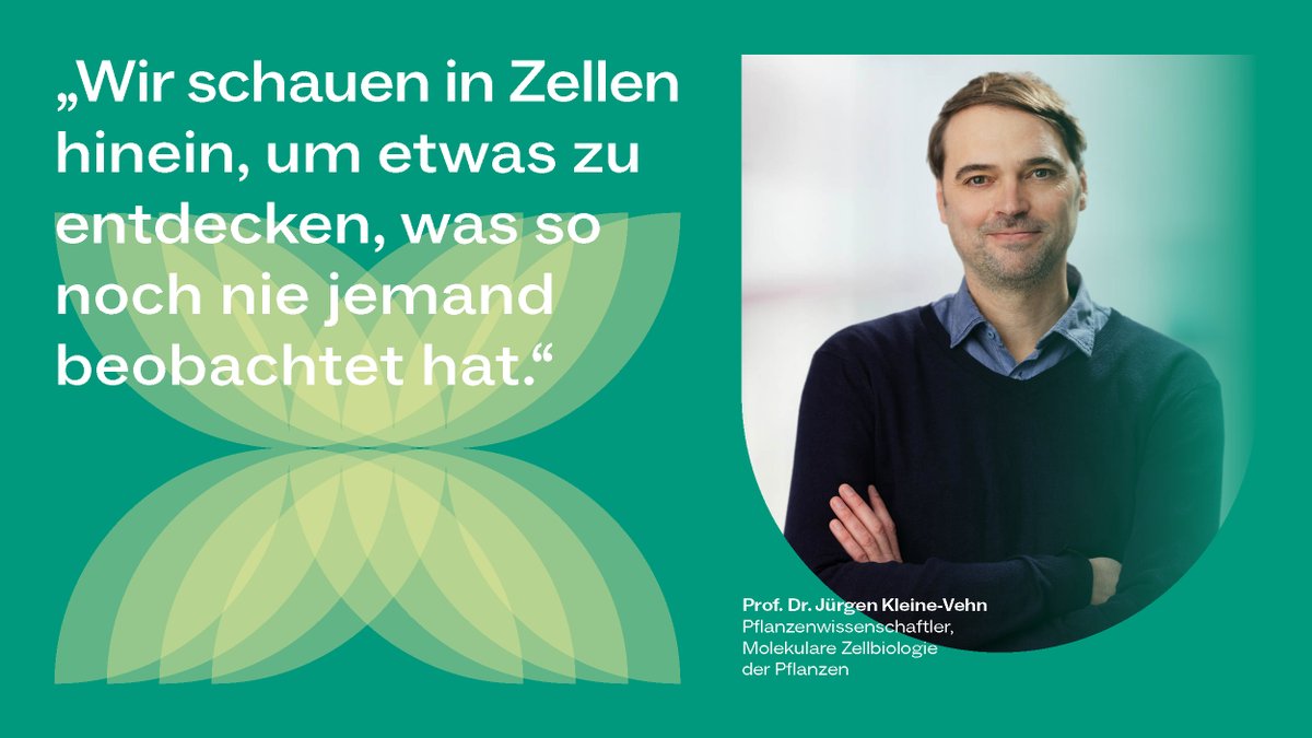 Neuer Sprecher für Freiburger #Exzellenzcluster <a href="/CIBSS_UniFR/">CIBSS</a>: Der Pflanzenwissenschaftler Jürgen Kleine-Vehn spricht im Interview über seine Faszination für #Forschung an biologischen Signalen und was für ihn das Besondere an der #UniFreiburg ist. ufr.link/kleine-vehn