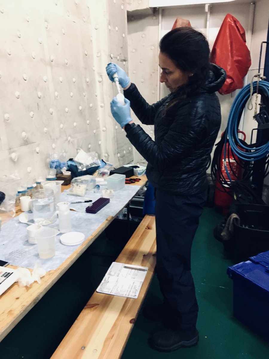 Dr. <a href="/VRoncalli/">vittoria roncalli</a>, EMI dep has just returned from a cruise in the Antarctic Peninsula departing from Ushuaia. On board, the Ortelius vessel collected samples from different remote areas that will be processed for eDNA and x zooplankton metabarcoding and environmental transcriptomics