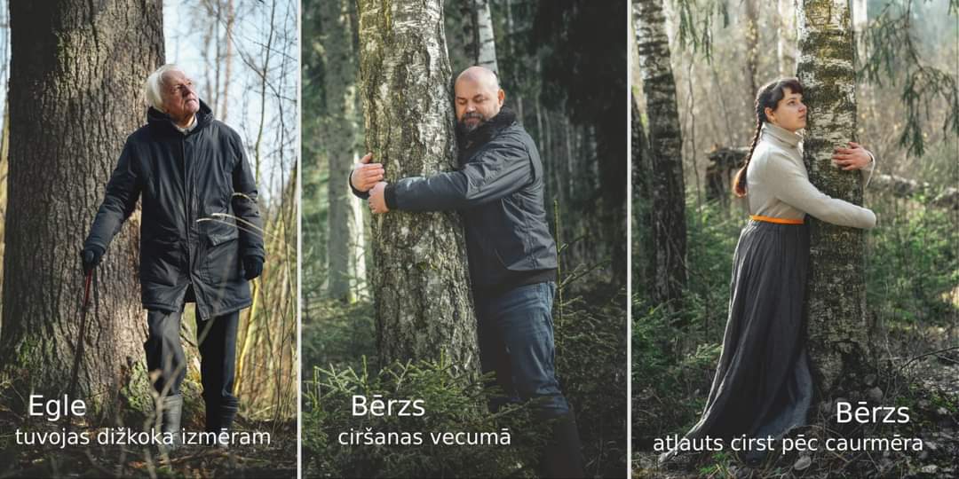 Mīli mežu? Tad, lūdzu, palīdzi! 
🌲 1) pievienojies akcijai Rīgā pie ST , 
🌳 2) iesaisties soctīklu akcijā ar foto,
🌱 3) padod tālāk, lai šis sasniedz arī citus!
🍃 +Seko <a href="/100kailcirtes_/">100kailcirtes</a>

Sīkāk: facebook.com/share/p/4rdYt3…

#dabasdaudzveidiba #100kailcirtes #treehugs #8centimetri