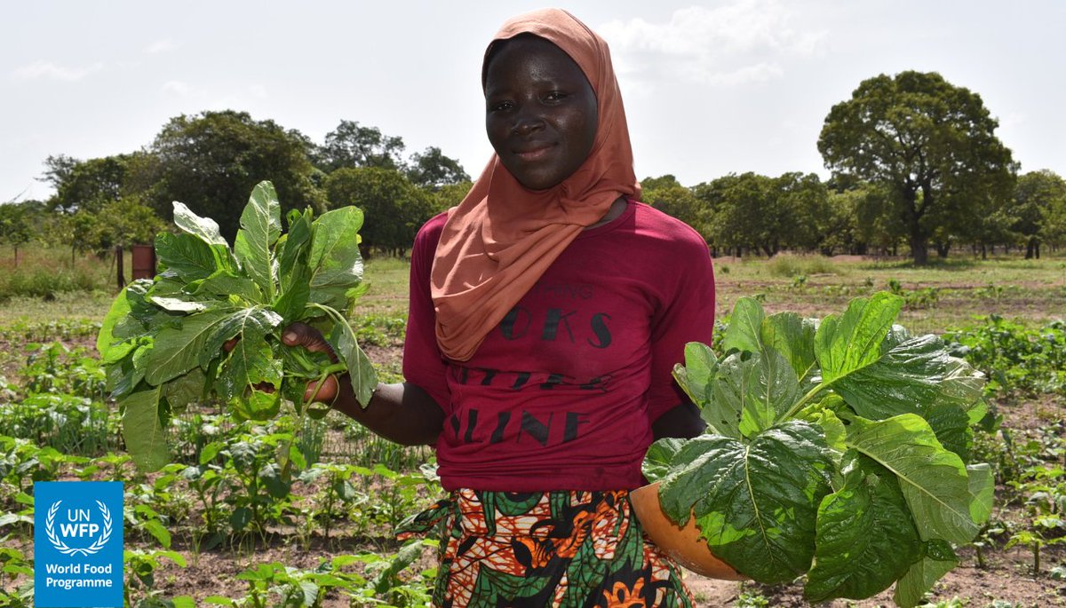 WFP_Mali tweet picture