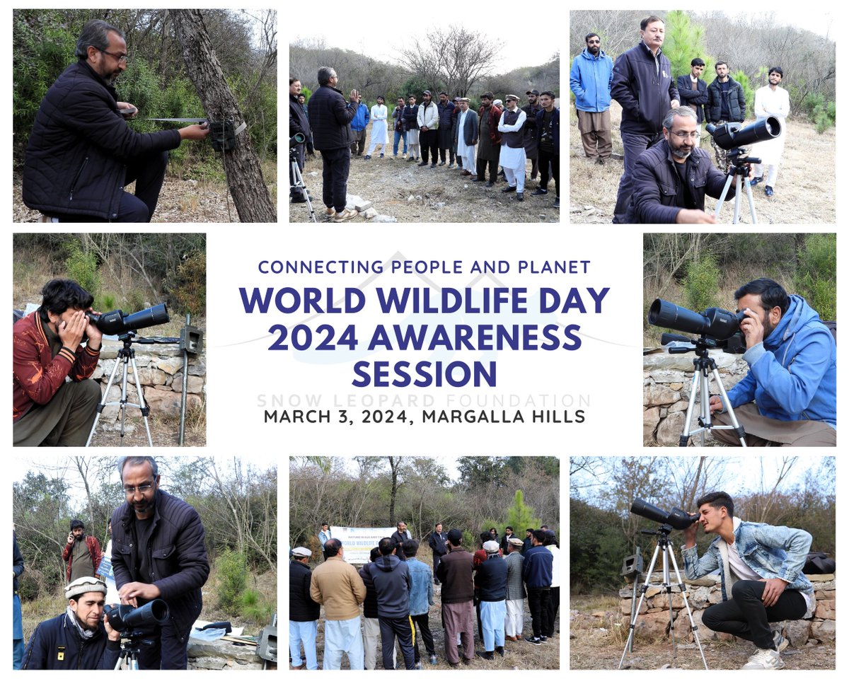 Dr. Shoaib Hameed from SLF conducted an awareness session at Margalla Hills Islamabad, focusing on #WWD2024 theme.
Practical demonstrations included camera trapping, spotting scope usage, and GPS techniques, empowering participants with valuable skills.
#WorldWildlifeDay #SLF