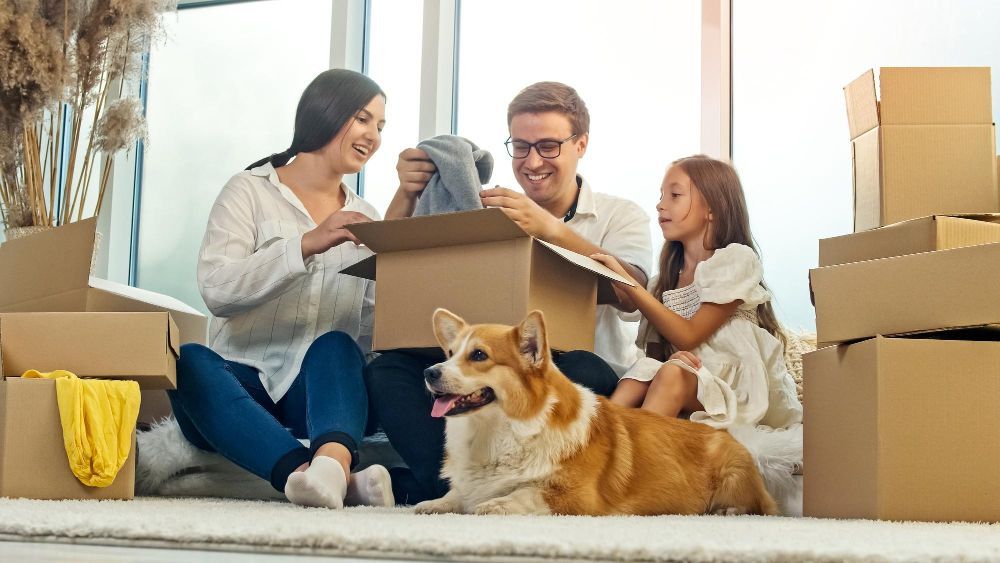 SiracusaMoving's tweet image. 🐱🐶 #MovingPets
Resources to Help You Move With Your Pets: buff.ly/3HOQ8EM 

Call, chat, or get your next move started online here: buff.ly/3GqscVH 

#movingtips #planningamove #siracusamoving #awardwinningmovers #residentialmovers #effortlessmoving