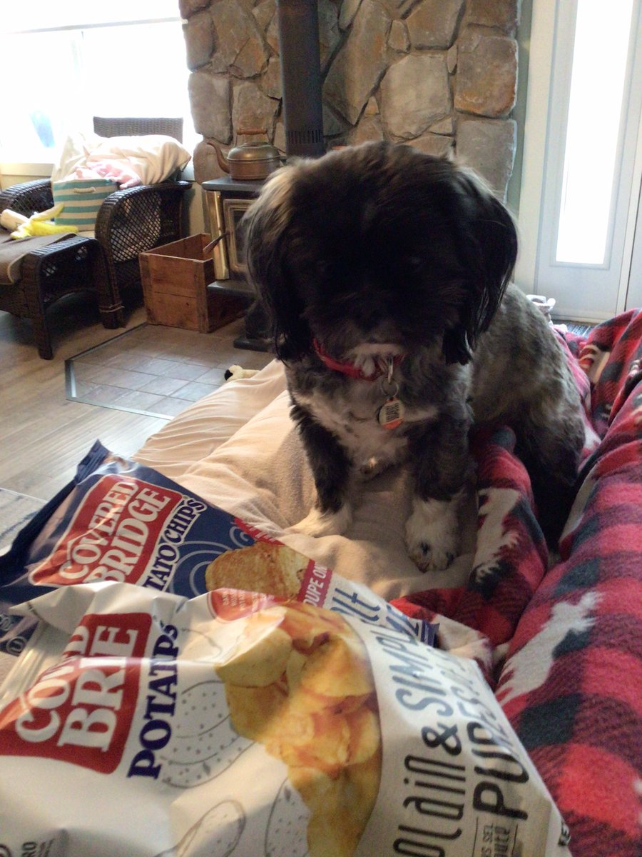 coffeeShihTzu's tweet photo. @CBchips
Cedar says let’s support Covered Bridge and their families, we look forward to news about rebuilding after the fire.
#NewBrunswick
#CBChips https://t.co/fe83Yhp5cI