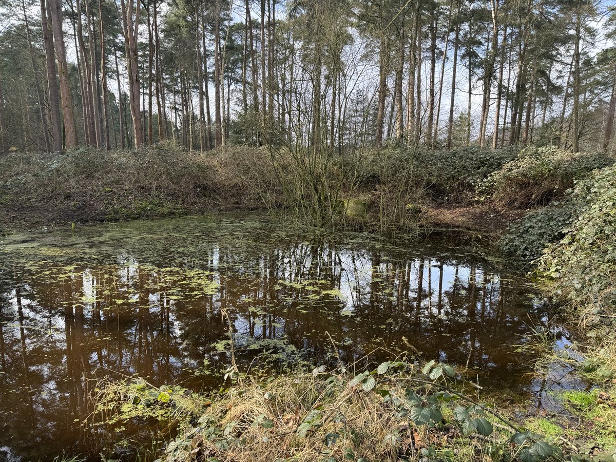 You’ll need waders!