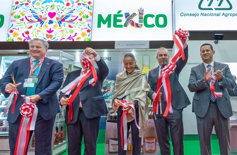 Inauguran espacio Guanajuato en FOODEX Japón
masgto.com.mx/inauguran-espa…
#FOODEX #Japón2024 #Guanajuato #FeriadeAlimentos #Tokio #Productores #Productos #Exhibición #Exportación #COFOCE #VisitaGuanajuato #ViajaaGuanajuato #NegociosenGuanajuato