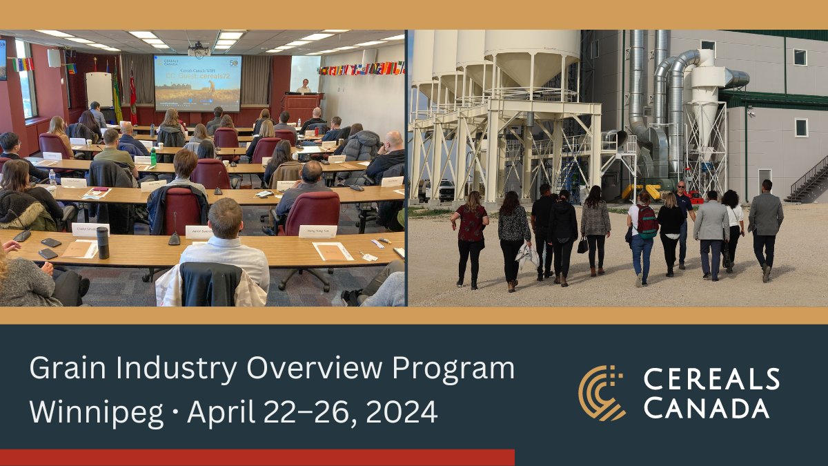 Led by Cereals Canada, the Grain Industry Overview Program will broaden your knowledge of the Canadian grain industry and give you the chance to network with industry experts. Learn more and register: cerealscanada.ca/training/