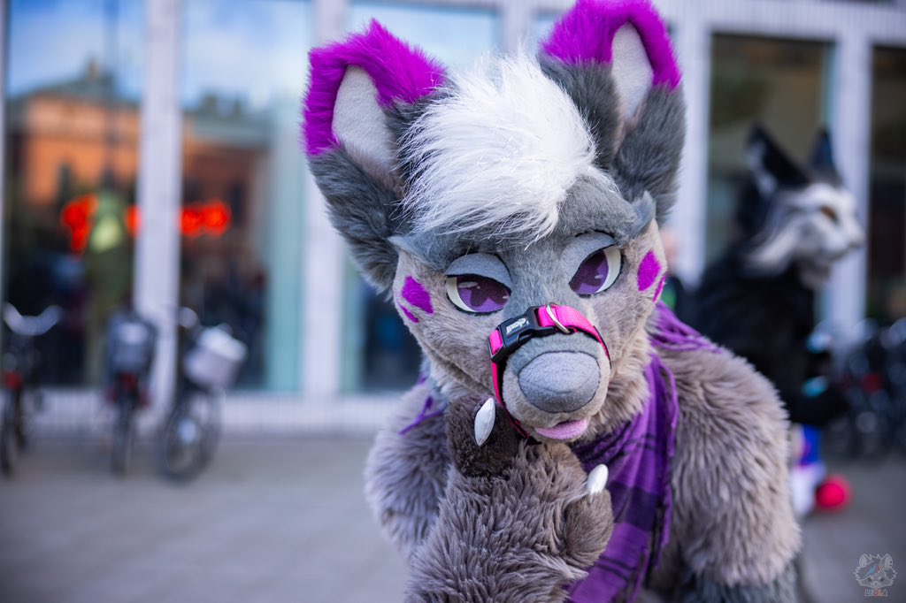 ✨
#NFC24