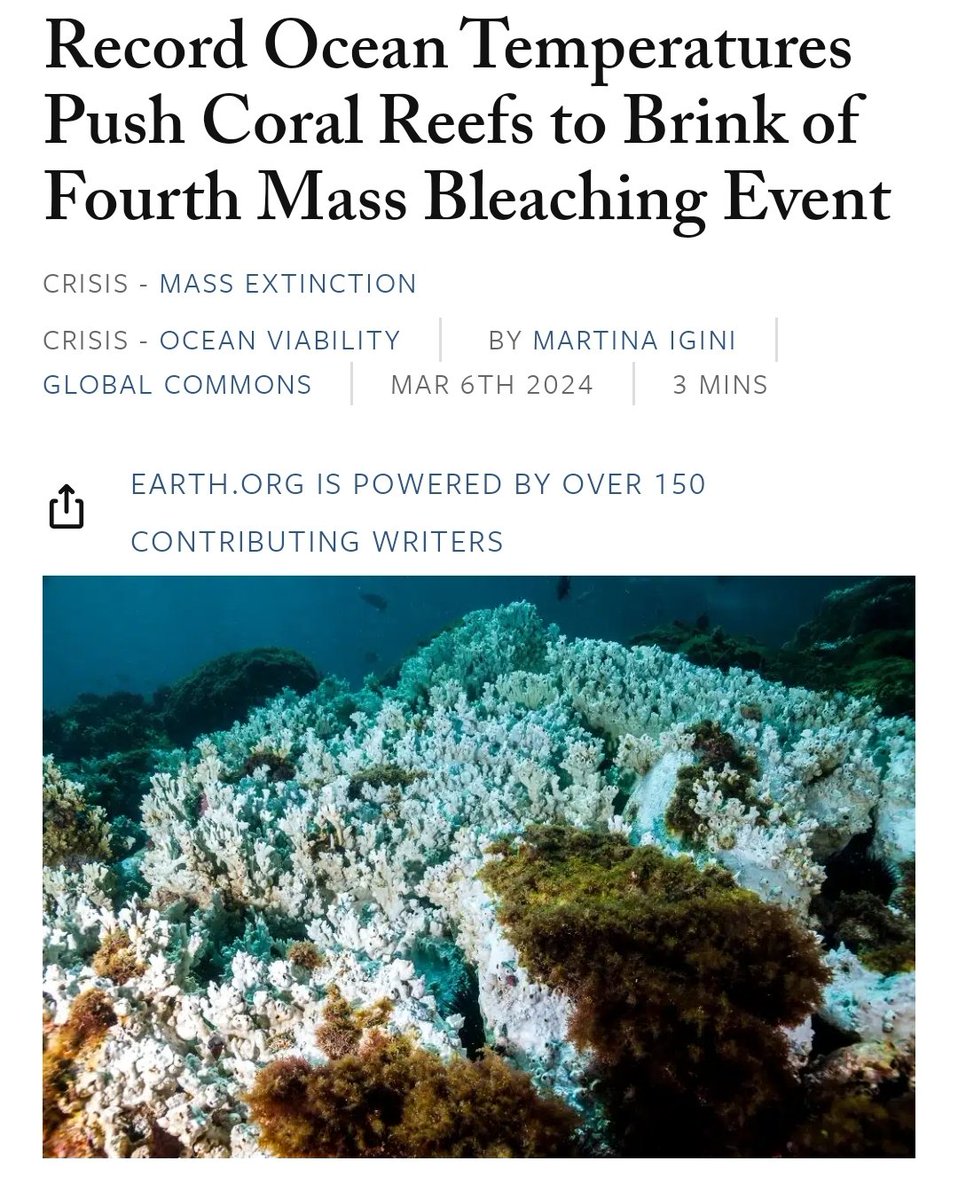 Mass extinction event! 🪸 'It's looking like the entirety of the Southern Hemisphere is probably going to bleach this year,' 'We are literally sitting on the cusp of the worst bleaching event in the history of the planet,' Derek Manzello @CoralReefWatch earth.org/record-ocean-t…