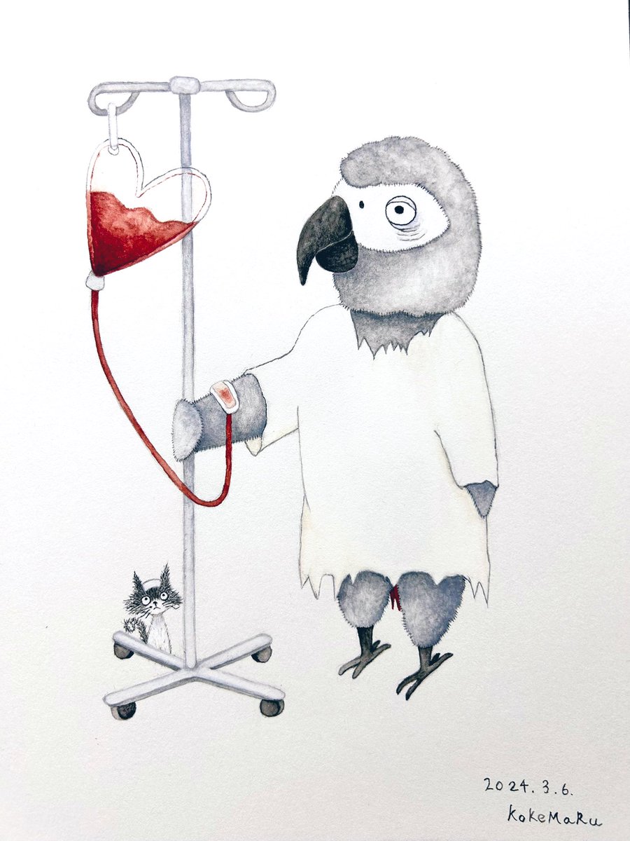 「〜病い〜ボクの病いは、キミにしか治せない#ヨウム #イラスト 」|kokemaruのイラスト