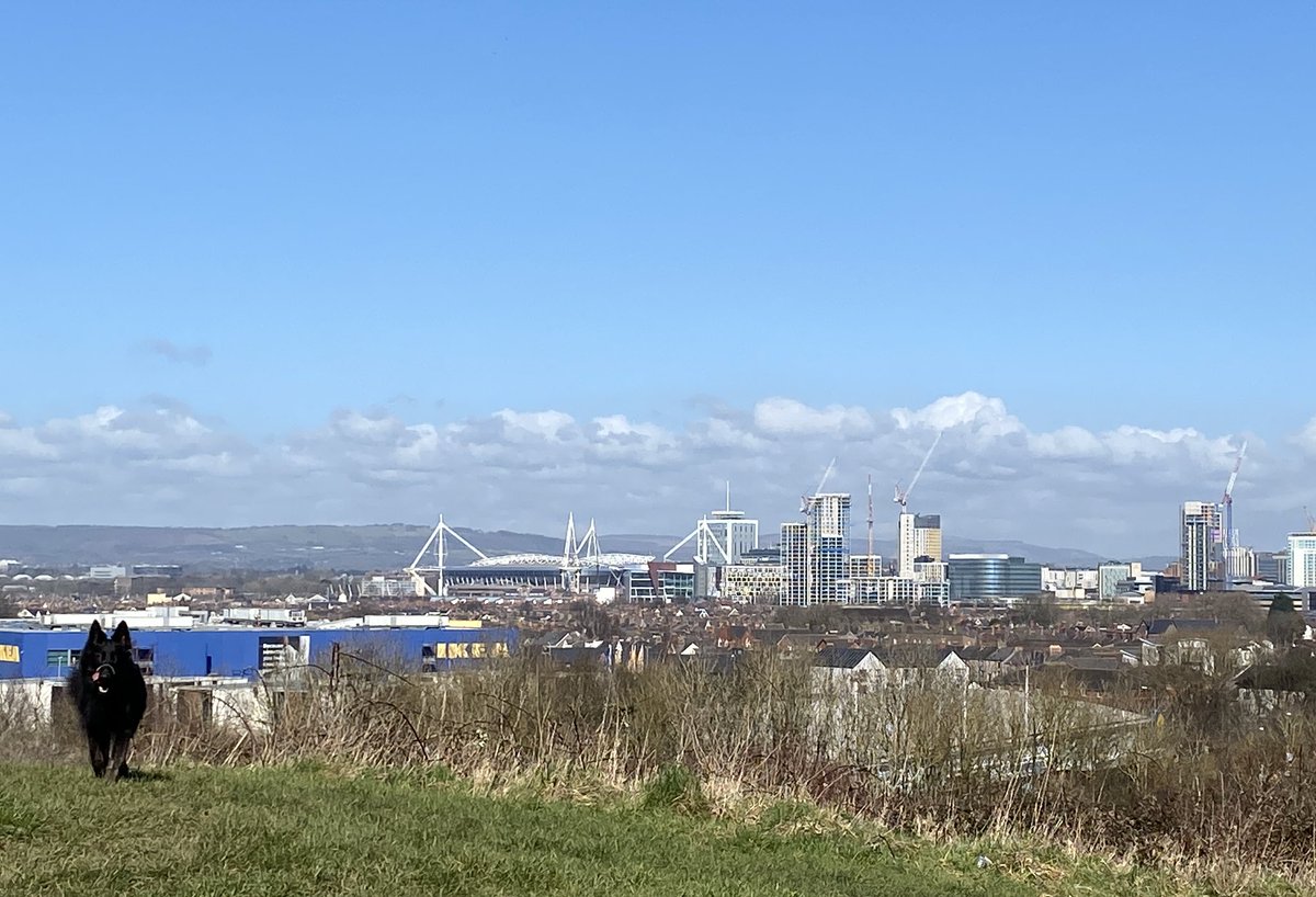 ILovesTheDiff's tweet photo. Canines over Cardiff: wonderful #Grangetown views this sunny Wednesday. The #skyline is changing rapidly, as the new development around the Brains site takes shape. #changingcardiff #dogsofcardiff #ilovesthediff https://t.co/yPcGAgANaq