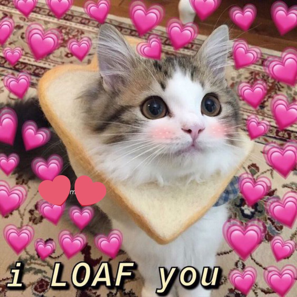 💞 I LOAF YOU $BONK

$SIU