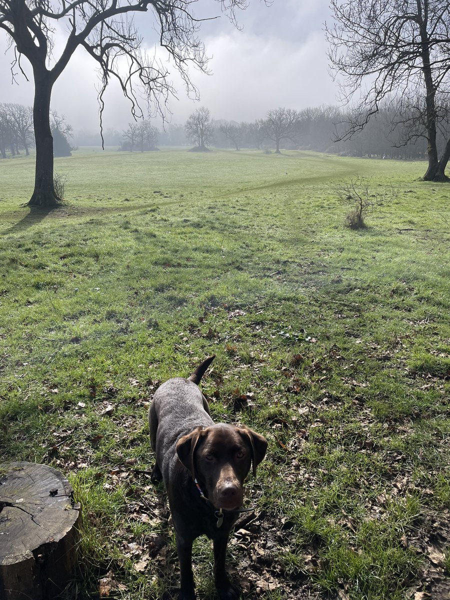 Leighlines's tweet photo. I hope to God that the LibDem Bath Council never get its hands on this land. They’re busy mucking up the rest of Bath.
#SaveBath https://t.co/464rayFskA
