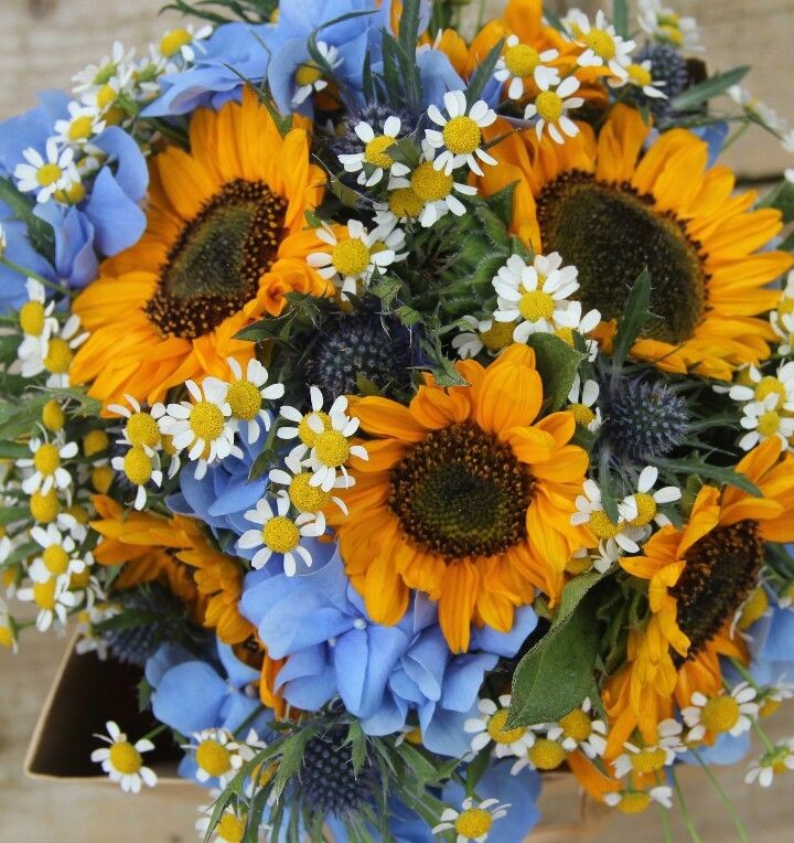 sunflowerchives's tweet photo. https://t.co/7y3ROdnRvf