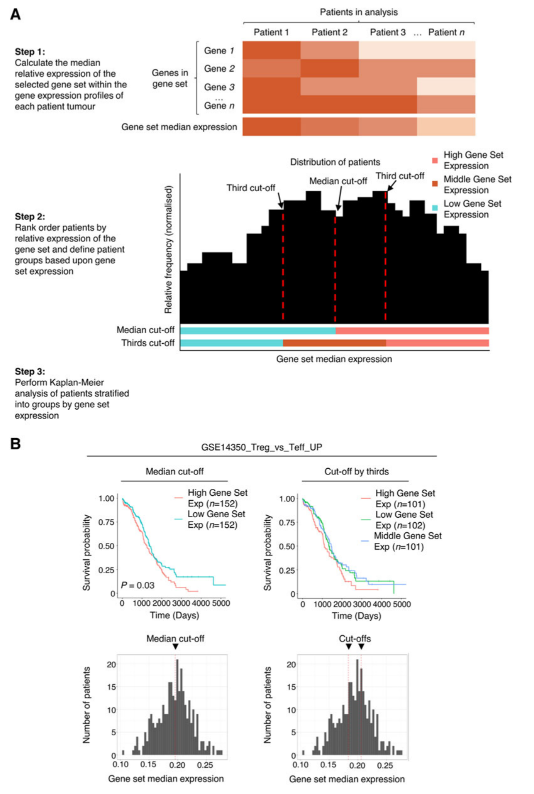 Roychoudhuri Lab tweet media