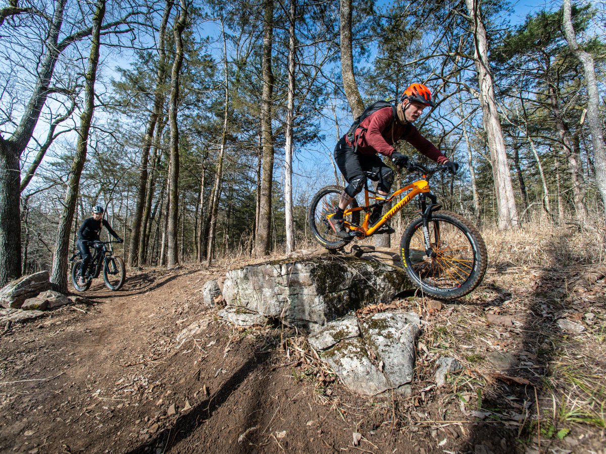 In the late 1980s, the first mountain bike trail in the state park system was formed at Devil's Den State Park.
#ARStateParks

Plan your next trip to ride Fossil Flats trail and other trails at Devil's Den State Park: arkansasstateparks.com/trails/monumen…