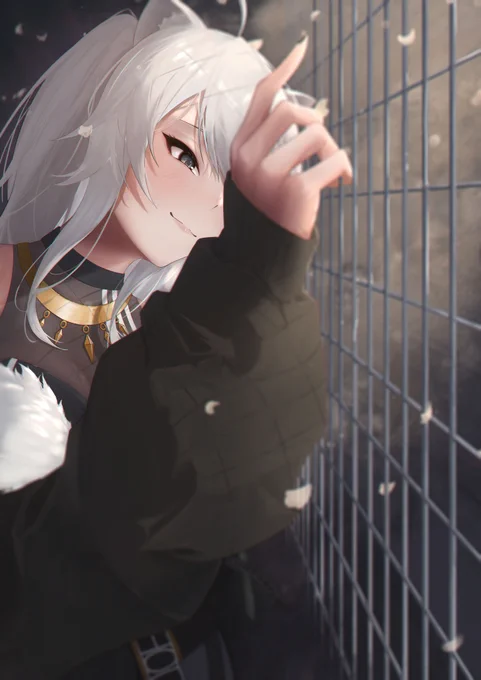 #ししらーと 