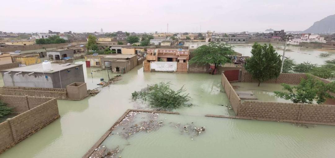 PR_COPHC's tweet photo. 27 to 29 Feb, Gwadar hit by heaviest rainfall in 16 years, causing widespread flood, road house destruction, and extreme difficulties for local people.
COPHC donated 30,000 bottles of water, 3,000 cans of food to them. Also, Faqeer school run by COPHC took in hundreds of people https://t.co/JgZvUNB8qX