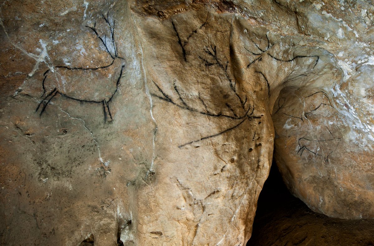 ✍ No todas nuestras #cuevas se pueden visitar por motivos de #protección y #conservación y os agradecemos mucho como nos cuidáis cada vez que venís🧐 Por eso os tratamos de poner fáciles las cosas 😉 ✍ ¿Conocéis nuestro sistema #online de reservas? 👇 cuevas.culturadecantabria.com/reservas/