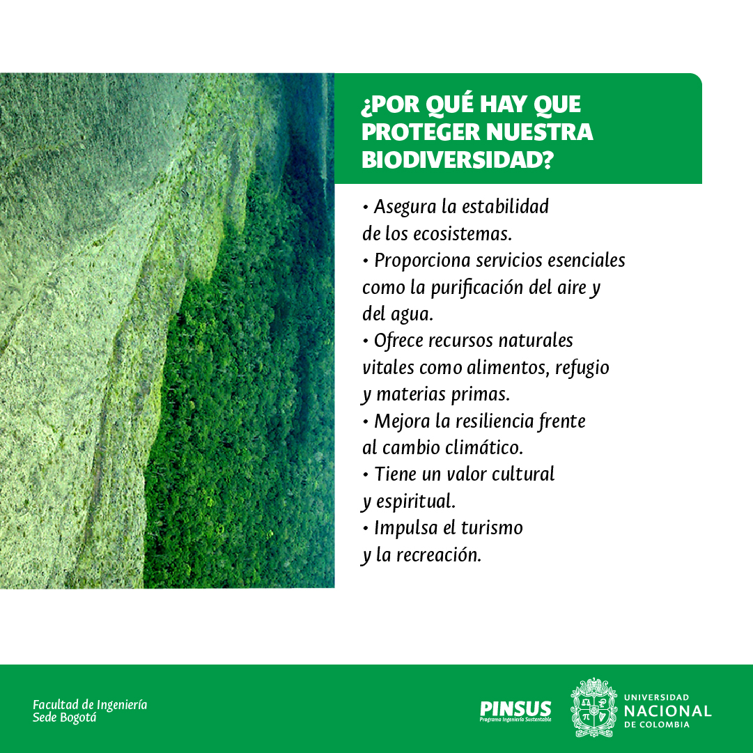 PinsusFIUN's tweet photo. Descubre la importancia de la COP 16 y la biodiversidad. Además, aprende sobre la riqueza natural de Colombia y por qué es crucial protegerla de amenazas como la deforestación y la minería ilegal. Únete a esta misión.💚🌎#PINSUS #COP16 #Biodiversidad #Sostenibilidad https://t.co/fRbgNLtCvP