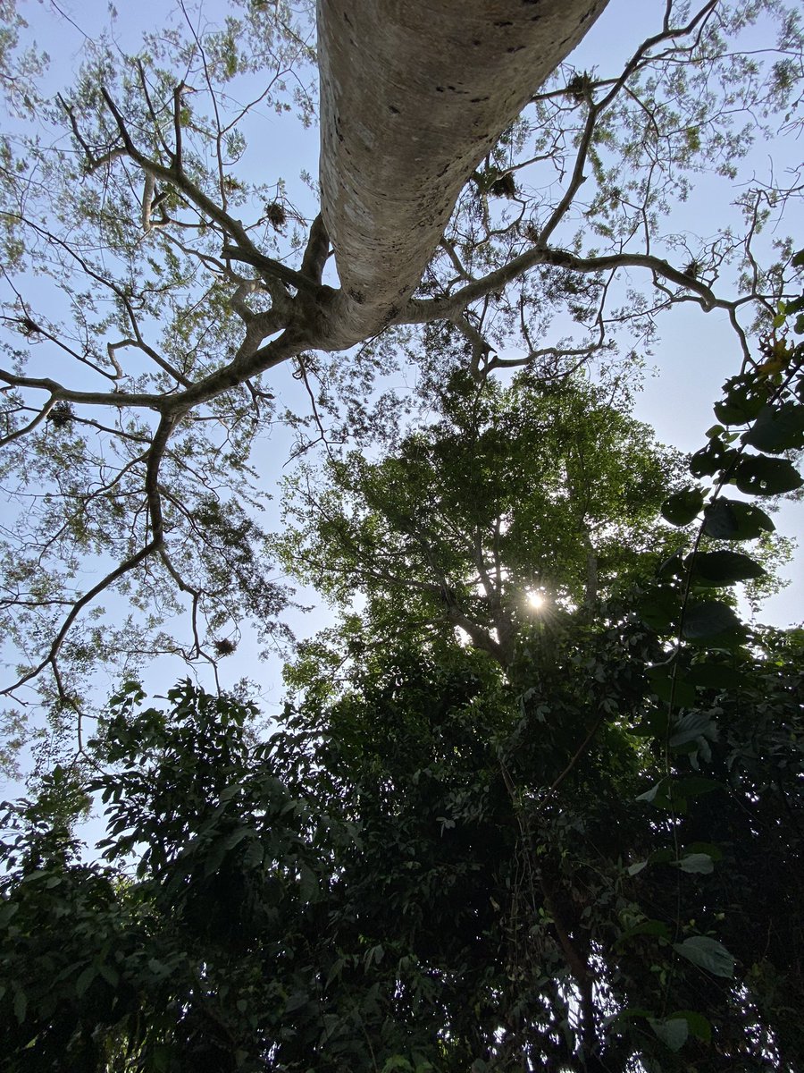 Hellen 🏳️🌈🏳️⚧️🍉 tweet media