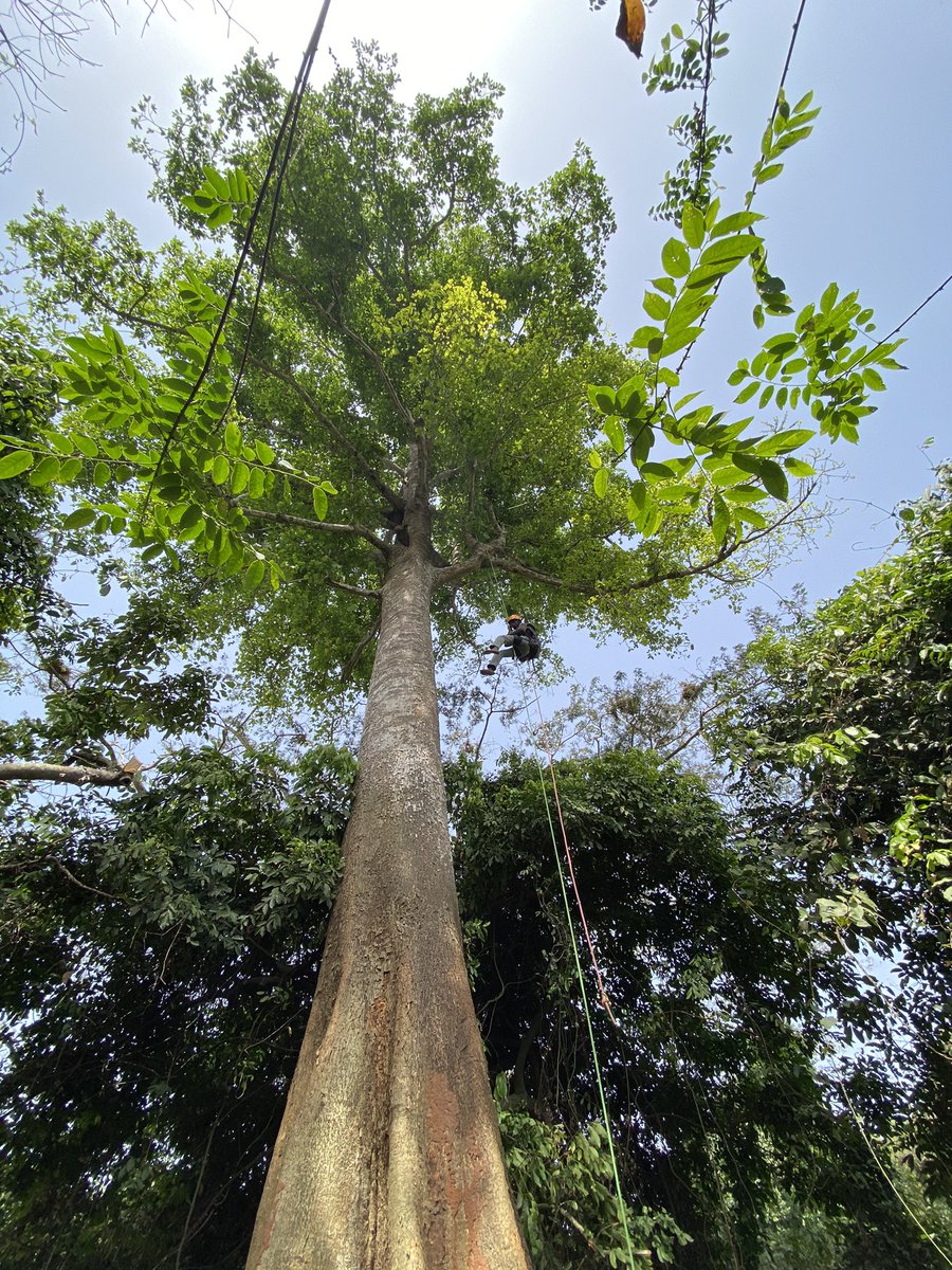 Hellen 🏳️🌈🏳️⚧️🍉 tweet media