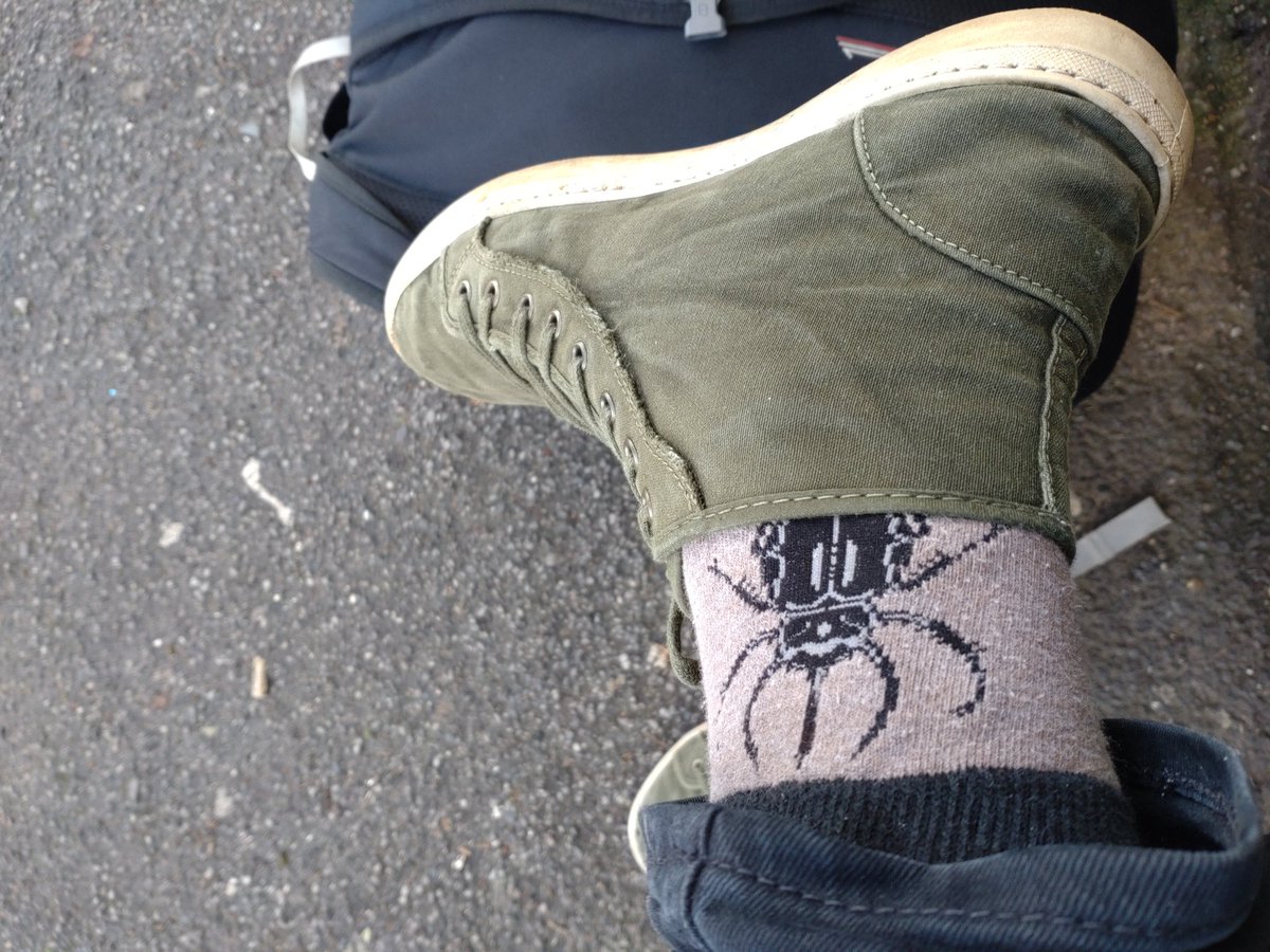 AndrewSalisbur2's tweet photo. Off to London it's the #verrall lecture ( @RoyEntSoc https://t.co/8DbMTBn31y) supper. Appropriately attired and looking forward to catching up with so many Entomologists. https://t.co/McRfBzWt16