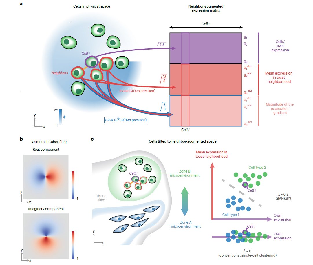 vizgen_inc's tweet image. 🎨Check out the new #Publication in @NatureGenet from researchers at @ASTARsg showcasing #SpatialDataAnalysis of #MERSCOPE data releases with the #BANKSY #Algorithm!💻
Learn more today: hubs.ly/Q02n09s40
#ComputationalBiology #Bioinformatics #MERFISH #AcademicTwitter