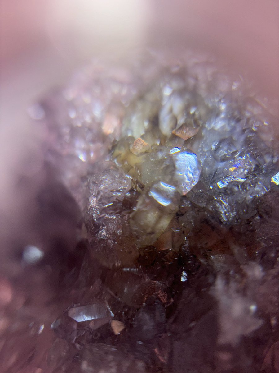 JustMandy68's tweet photo. Micro crystal 📷by myself #aesthetic #aesthetics #loop https://t.co/rffxcE875M