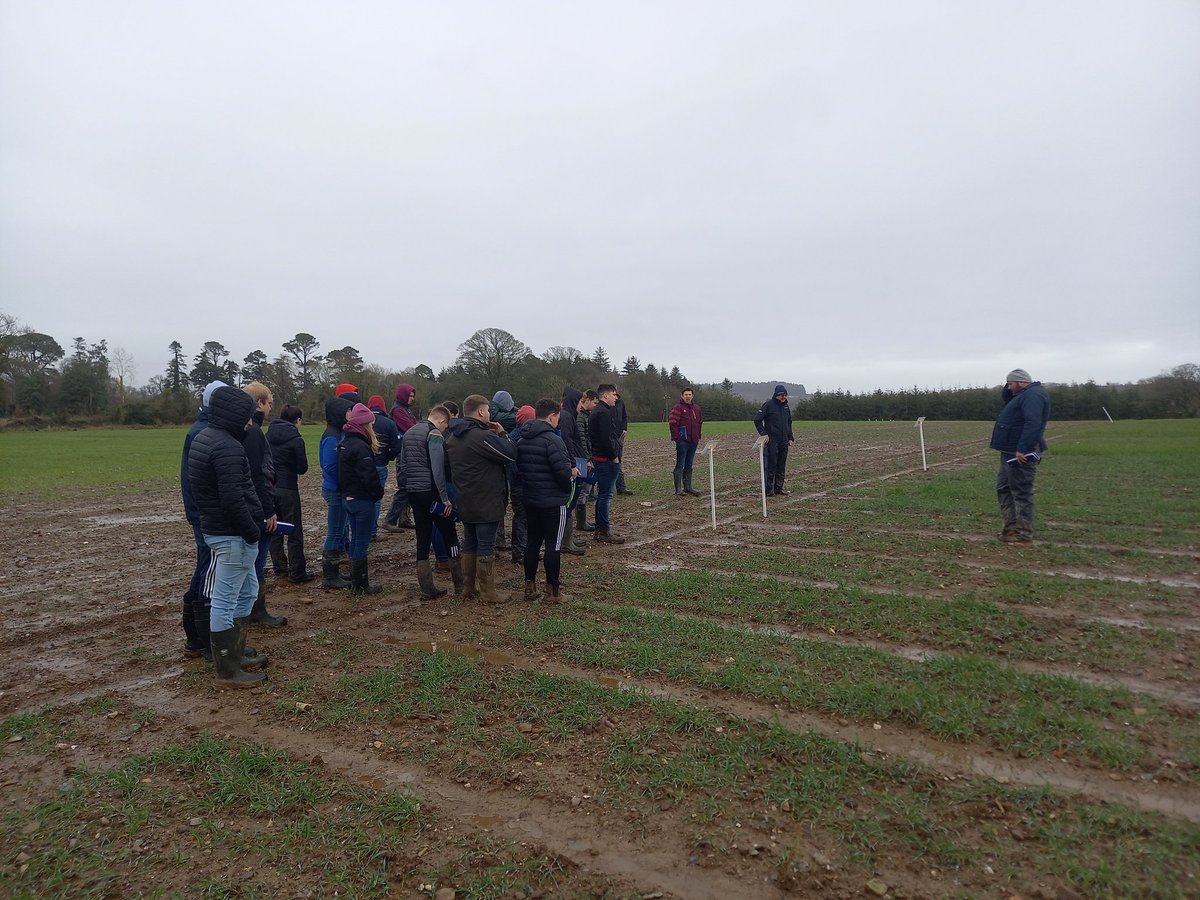 Another fantastic morning visiting the <a href="/seedtechnology/">Seed Technology Ltd</a> trial site &amp; hearing from trials manager Denis Dunne with the <a href="/DeptOfSciSETU/">Depts of Land & Lab Science SETU Waterford</a> IPM class. We'll get sunshine for that fieldtrip one of these years!!