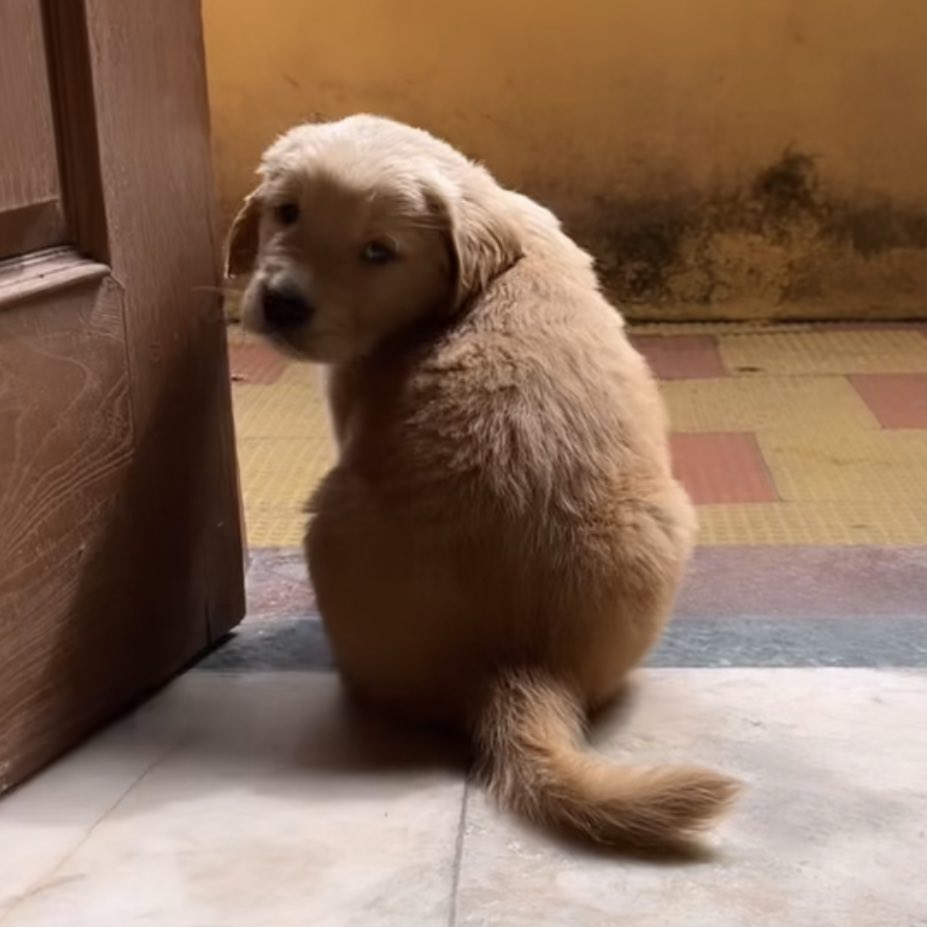 takemybear 🐶 tweet media