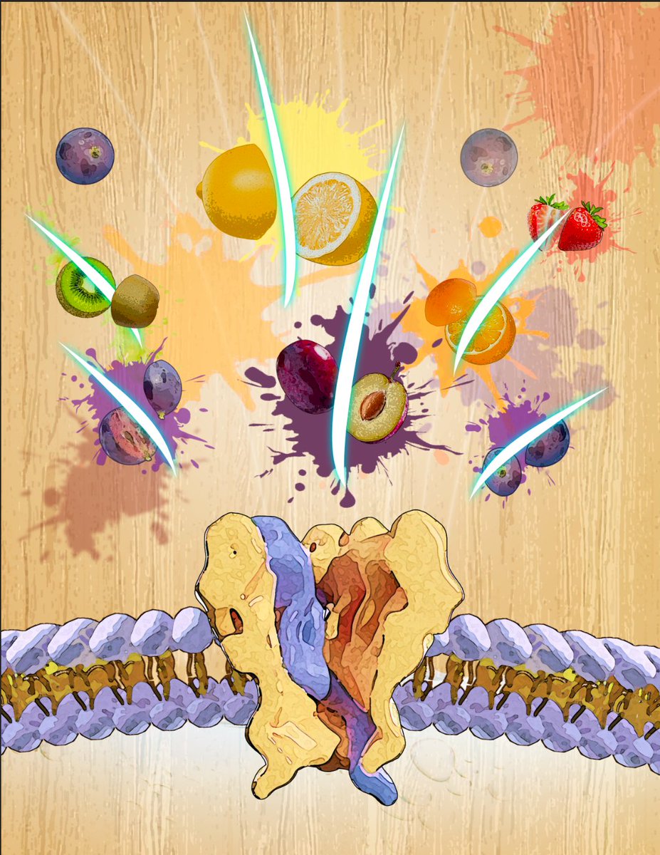 Huang_Nanopore tweet media