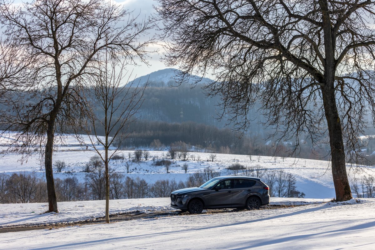 MazdaEspana's tweet image. Escoge la nueva tecnología Mild Hybrid del revolucionario motor diésel de seis cilindros en línea y 3,3 litros del Mazda CX-60. Potencia y elegancia a la par.

mazda.es/gama/mazda-cx-…

#Mazda #CX60 #MildHybrid