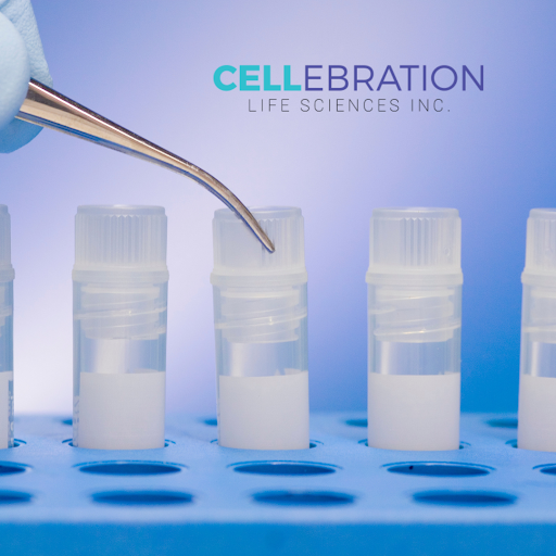 cellebrationsci's tweet photo. A recent Yale University study found that stem cells migrate to help repair damaged lung cells caused by injuries such as viral or bacterial infections. Learn more about this innovative stem cell research:

https://t.co/Xu4nXERNqc 

#StemCell #Research #Cellebration #LifeSciences https://t.co/pPdVctDtYh