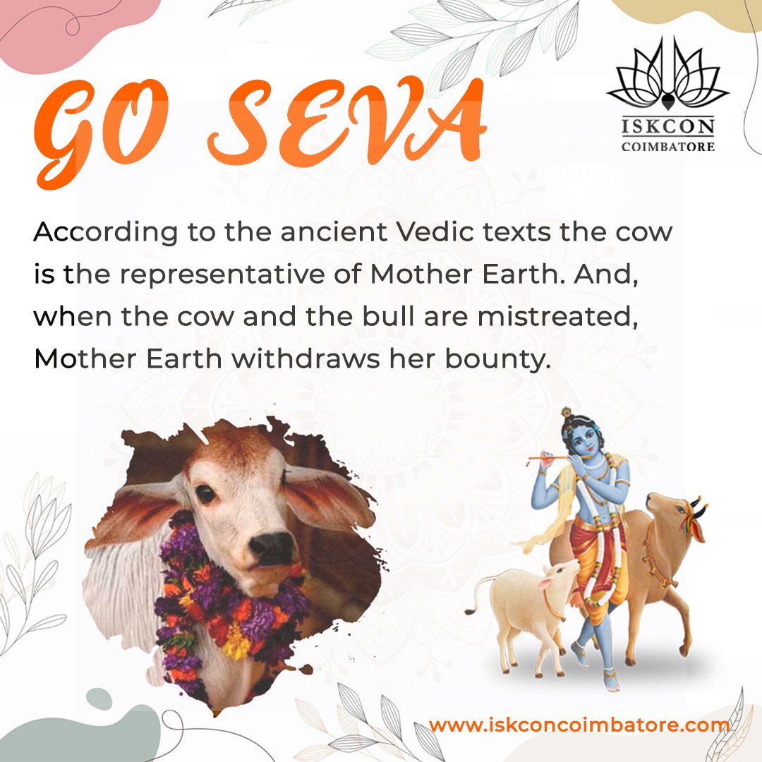 The blessings of Mother Earth! Embrace Go Seva and honor the sacred bond with our beloved Gomata.
Join us in nurturing harmony and abundance in our Goloka Gosala.
#GoSeva #SacredCow #MotherEarth #VedicWisdom #Harmony #coimbatore #ISKCON #Gosala #iskcontemple