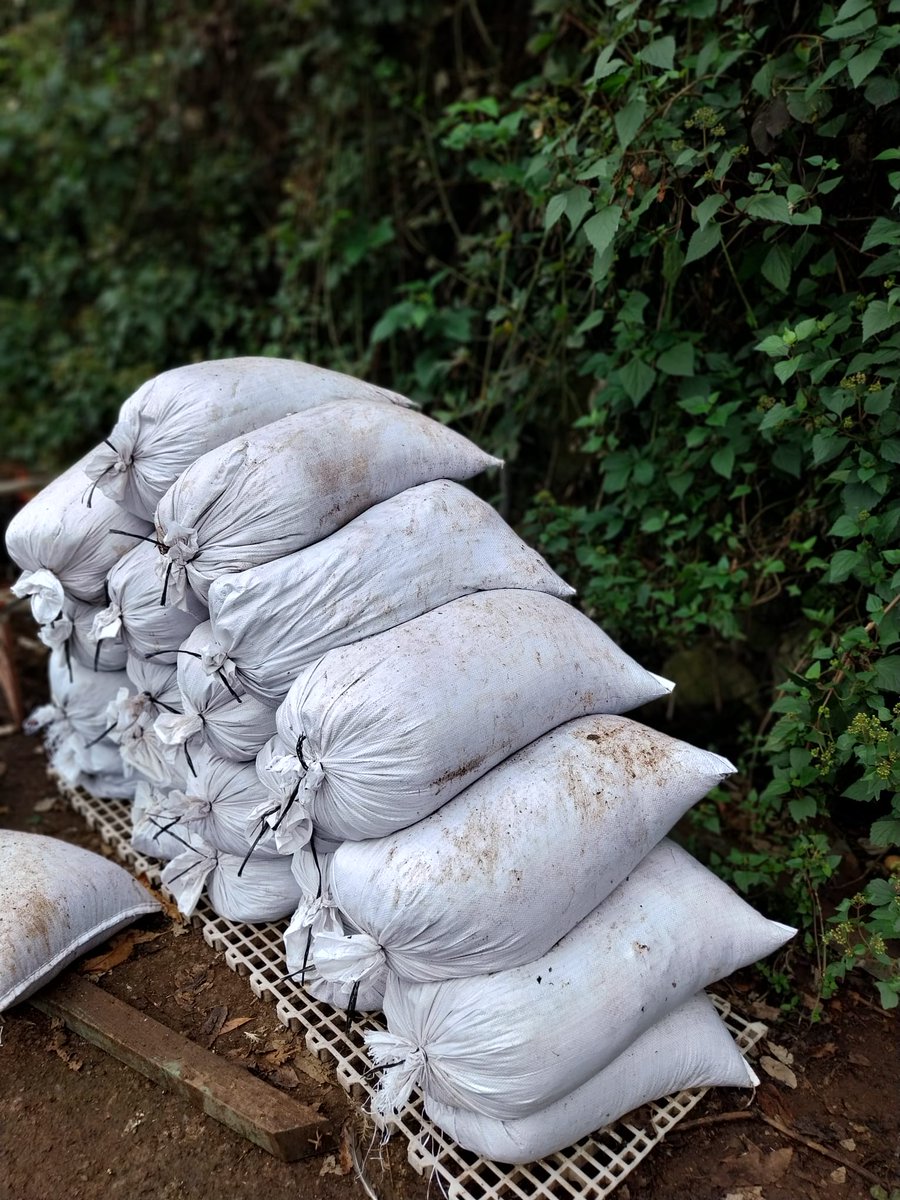 Sacos de gallinaza a 2,40€

☎ 922 43 06 79