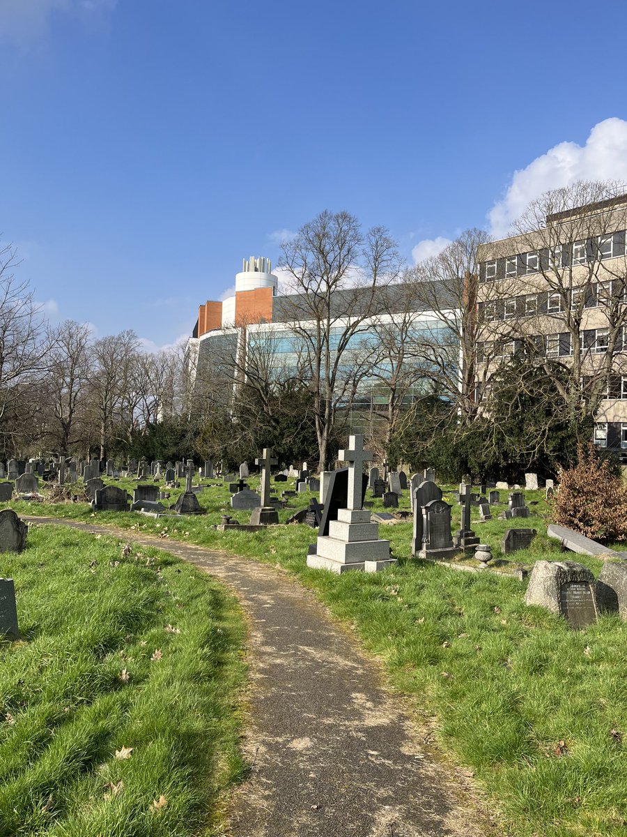 suebolter's tweet photo. #Walking round Welford Road #cemetery in #Leicester while I wait for my car to be serviced #sunshine #springatlast https://t.co/2q9POzuD7B